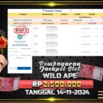 BUKTI JACKPOT SLOT WILD APE TERPERCAYA DI INDONESIA TGL 14-11-2024